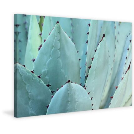 ” Cactus ” by Marmont Hill - Chic Decora