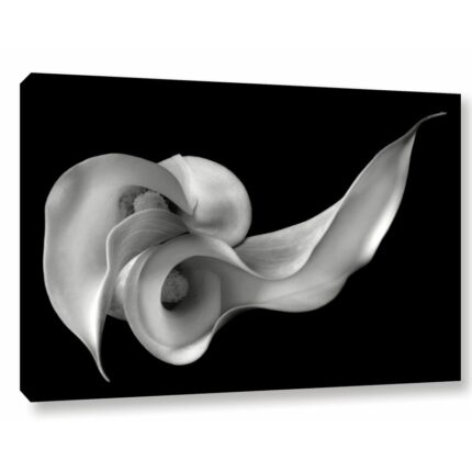 “Calla Lily” Canvas Print by Florianna Barbu Sophisticated Floral Wall Art for Home Decor - Chic Decora