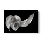 “Calla Lily” Canvas Print by Florianna Barbu Sophisticated Floral Wall Art for Home Decor - Chic Decora