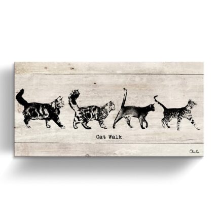 ” Cat Walk ” by Olivia Rose - Chic Decora