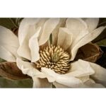 ” Classic Magnolia II “ - Chic Decora