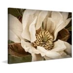 ” Classic Magnolia II “ - Chic Decora