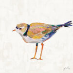 ” Coastal Plover IV Linen ” by Jeanette Vertentes - Chic Decora