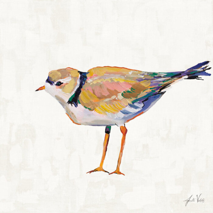 ” Coastal Plover IV Linen ” by Jeanette Vertentes - Chic Decora