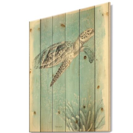 ” Coastal Sea Life I Turtle Sketches “ - Chic Decora