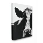 ” Cow Black And White Close Up ” by Lettered And Lined - Chic Decora