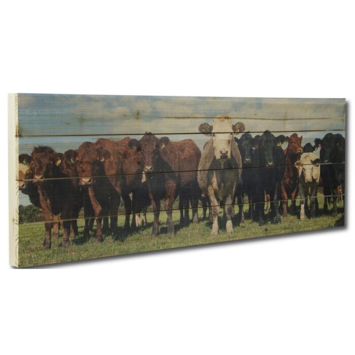 “Cows in a Row” Photograph Print on Planked Wood Wall Art - Chic Decora