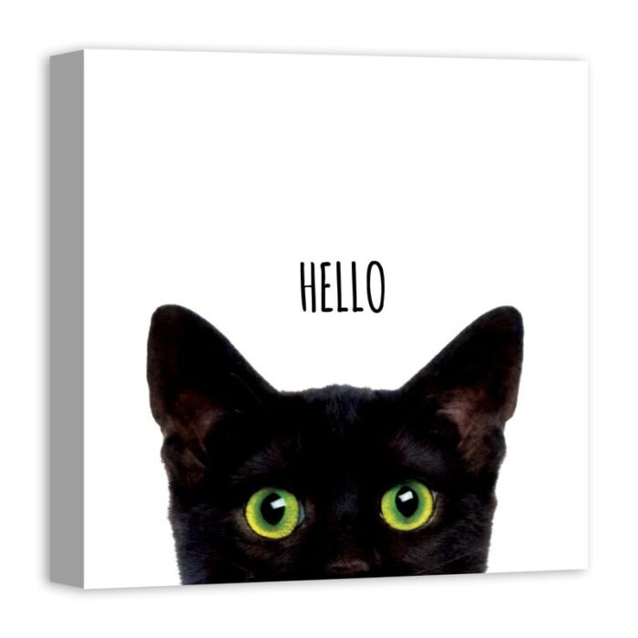 ” Curious Hello Black Cat “ - Chic Decora