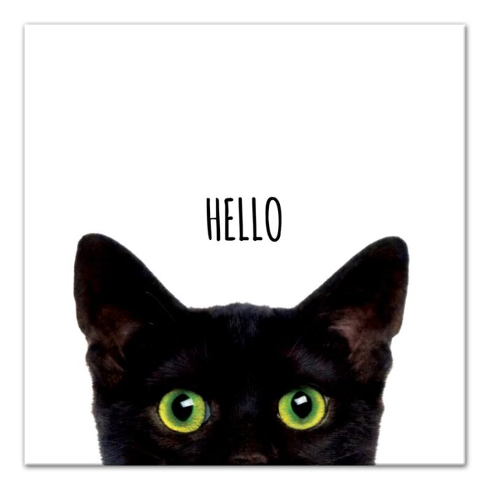 ” Curious Hello Black Cat “ - Chic Decora