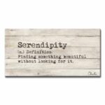 ” Define Serendipity “ - Chic Decora