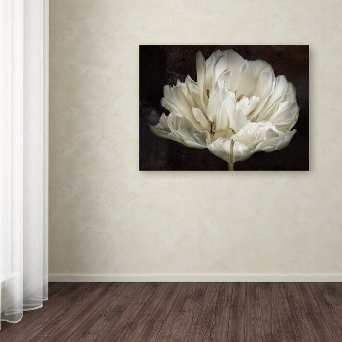 ” Double White Tulip ” by Cora Niele - Chic Decora