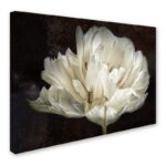 ” Double White Tulip ” by Cora Niele - Chic Decora