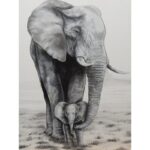 ” Elephant Love “ - Chic Decora