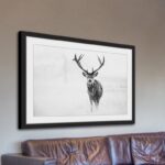 ” Elk Stare ” by Marmont Hill - Chic Decora