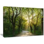 ” Evening In Green Forest “ - Chic Decora