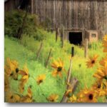 ” Farm & Sunflower “ - Chic Decora