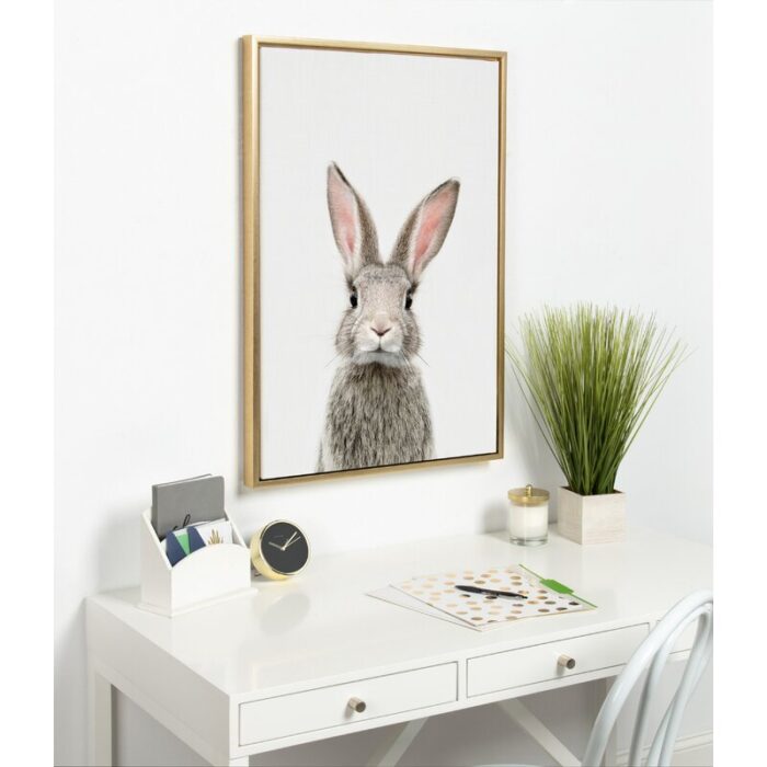 ” Female Baby Bunny Rabbit ” by Amy Peterson - Chic Decora