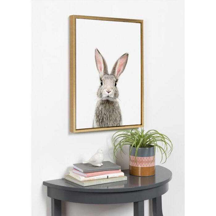 ” Female Baby Bunny Rabbit ” by Amy Peterson - Chic Decora