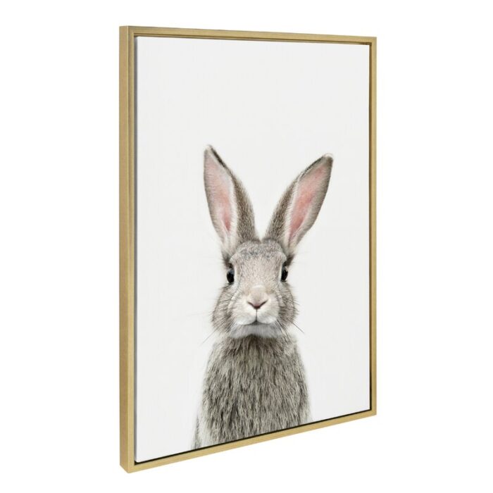 ” Female Baby Bunny Rabbit ” by Amy Peterson - Chic Decora