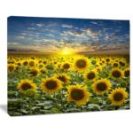 ” Field Of Blooming Sunflowers “ - Chic Decora