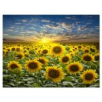 ” Field Of Blooming Sunflowers “ - Chic Decora