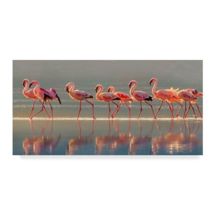 ” Flamingo Walk ” by Phillip Chang - Chic Decora