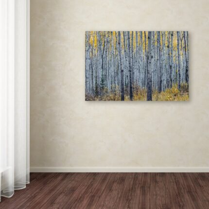 ” Forest Of Aspen Trees ” by Pierre Leclerc - Chic Decora