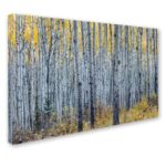 ” Forest Of Aspen Trees ” by Pierre Leclerc - Chic Decora