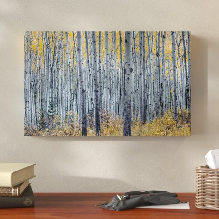 ” Forest Of Aspen Trees ” by Pierre Leclerc - Chic Decora