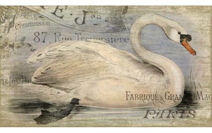 ” French Swan ” by Suzanne Nicholl - Chic Decora