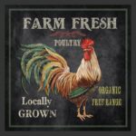 ” Fresh Farm Rooster – Farm Animals ” by Jean Plout - Chic Decora