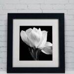 ” Gardenia ” by Michael Harrison - Chic Decora