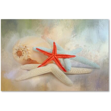 ” Gifts From The Sea ” by Jai Johnson - Chic Decora