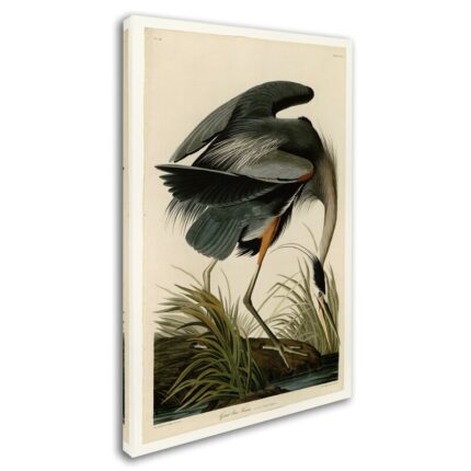 ” Great Blue Heron ” by James Audubon - Chic Decora