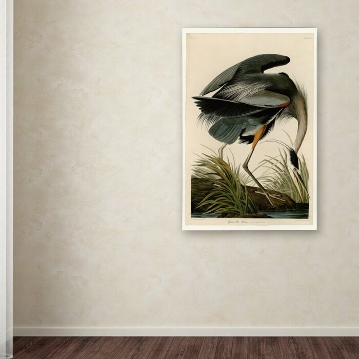 ” Great Blue Heron ” by James Audubon - Chic Decora