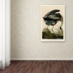 ” Great Blue Heron ” by James Audubon - Chic Decora