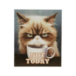 ” Grumpy Cats Not Today ” by Tessa Kane - Chic Decora