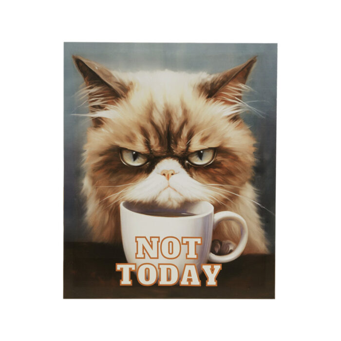 ” Grumpy Cats Not Today ” by Tessa Kane - Chic Decora