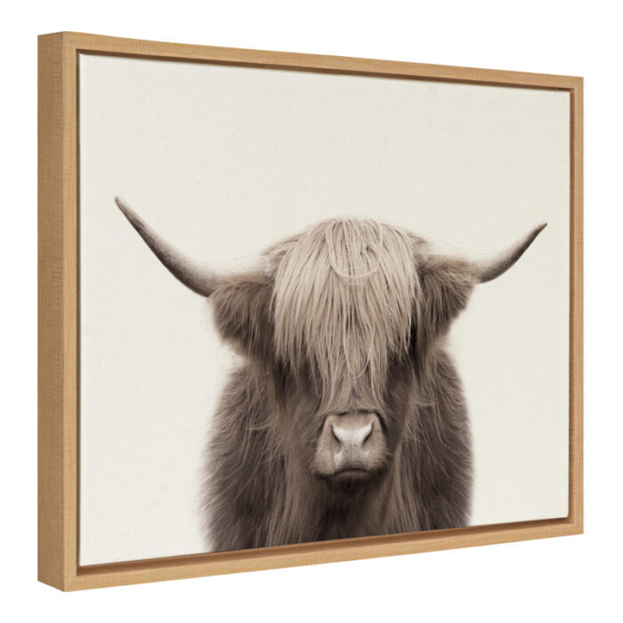 ” Hey Dude Highland Cow Color “ - Chic Decora