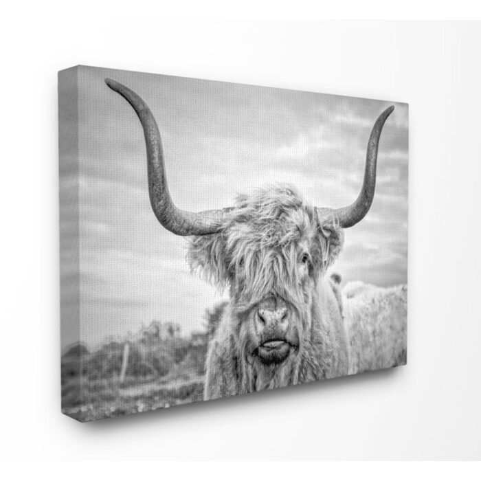 ” Highland Cow “ - Chic Decora