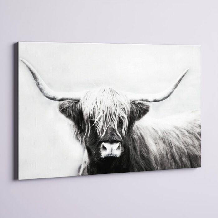 ” Highland Longhorn ” Painting Print - Chic Decora