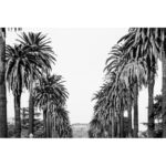 ” Hollywood In Sight ” by Morgan Hartley - Chic Decora