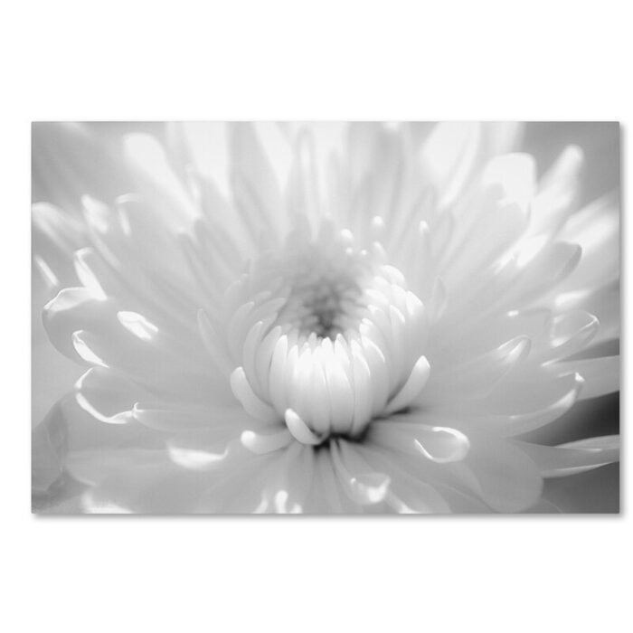 ” Infrared Flower 2 “ - Chic Decora