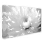 ” Infrared Flower 2 “ - Chic Decora