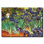 ” Irises Saint-Remy ” by Vincent Van Gogh - Chic Decora