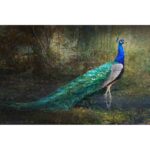 ” Jungle Stream Peacock ” by Chris Vest - Chic Decora