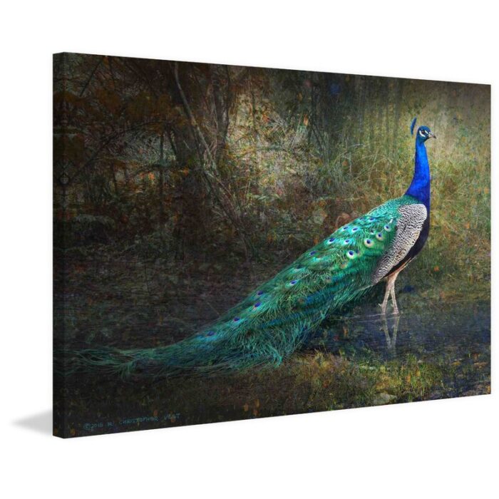 ” Jungle Stream Peacock ” by Chris Vest - Chic Decora