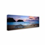 ” Kaiteriteri Sunset ” by David Evans - Chic Decora