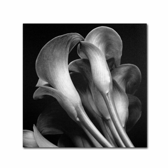 ” Lillies ” by Michael Harrison - Chic Decora