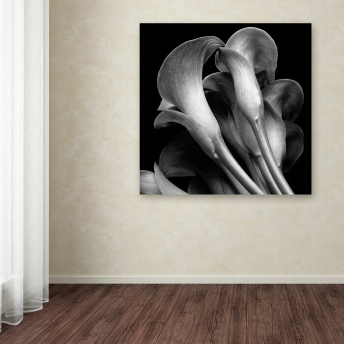 ” Lillies ” by Michael Harrison - Chic Decora